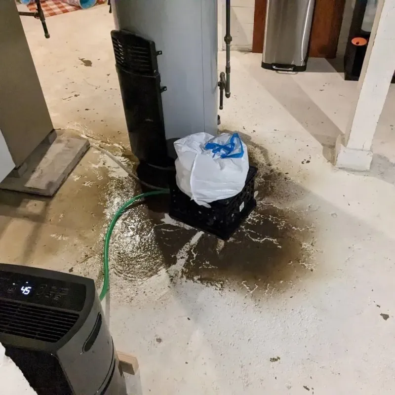 Sewage Backup Cleanup Service in Carter County, MO